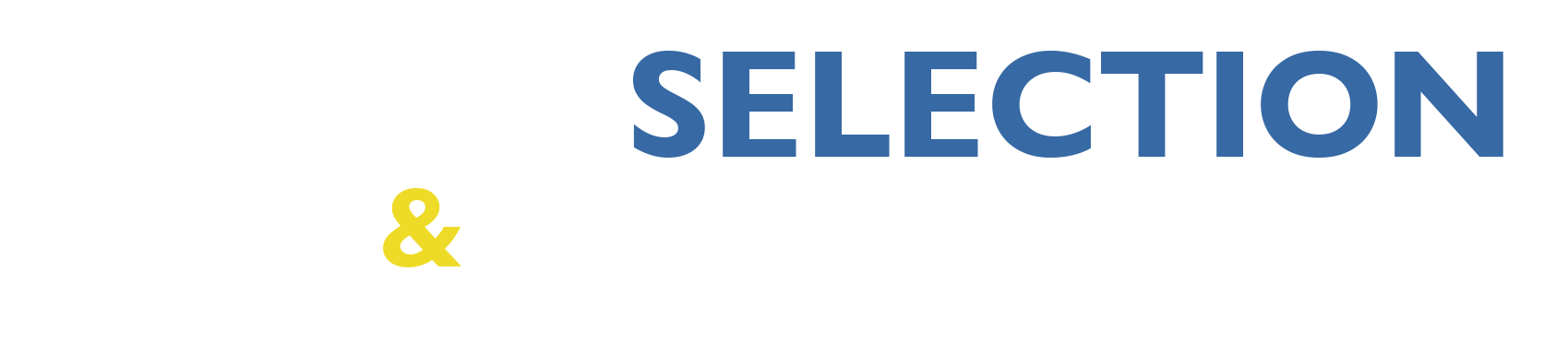 Logo Promo selection